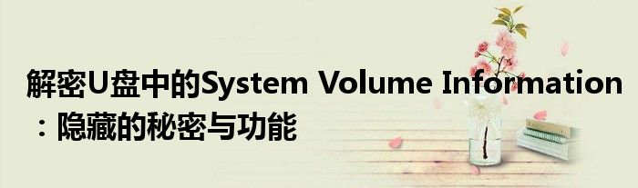 解密U盘中的System Volume Information：隐藏的秘密与功能