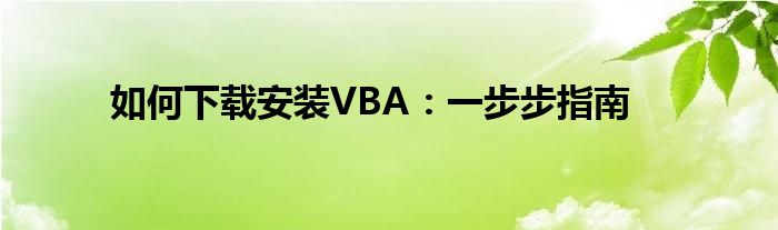 如何下载安装VBA：一步步指南