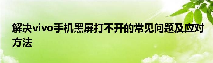 解决vivo手机黑屏打不开的常见问题及应对方法
