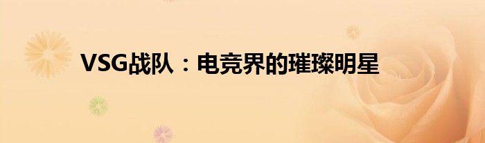 VSG战队：电竞界的璀璨明星
