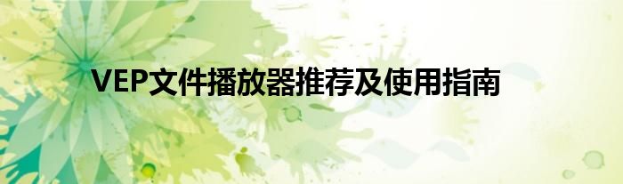VEP文件播放器推荐及使用指南