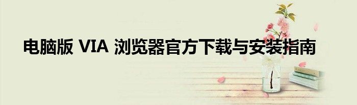 电脑版 VIA 浏览器官方下载与安装指南