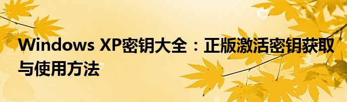Windows XP密钥大全：正版激活密钥获取与使用方法