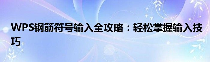 WPS钢筋符号输入全攻略：轻松掌握输入技巧