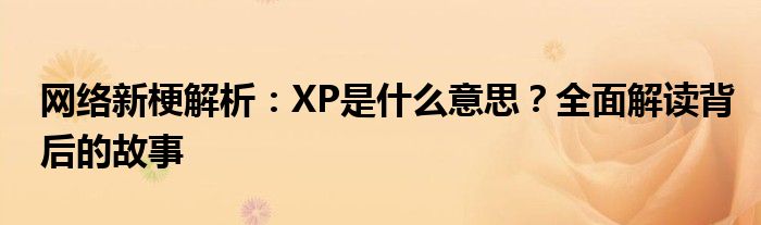 网络新梗解析：XP是什么意思？全面解读背后的故事
