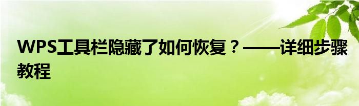 WPS工具栏隐藏了如何恢复？——详细步骤教程