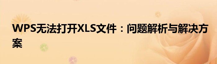WPS无法打开XLS文件：问题解析与解决方案
