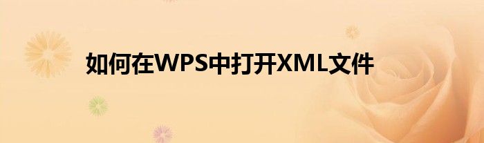 如何在WPS中打开XML文件