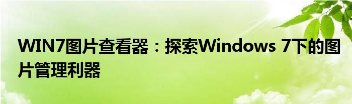WIN7图片查看器：探索Windows 7下的图片管理利器