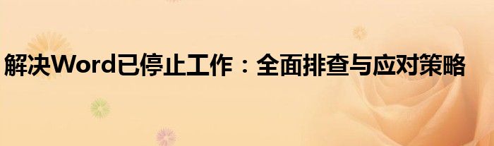 解决Word已停止工作：全面排查与应对策略