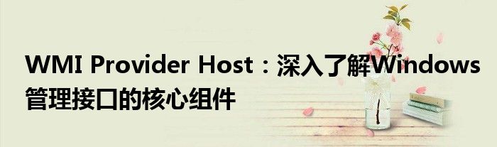 WMI Provider Host：深入了解Windows管理接口的核心组件