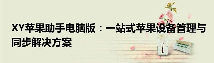 XY苹果助手电脑版：一站式苹果设备管理与同步解决方案
