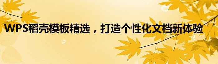 WPS稻壳模板精选，打造个性化文档新体验