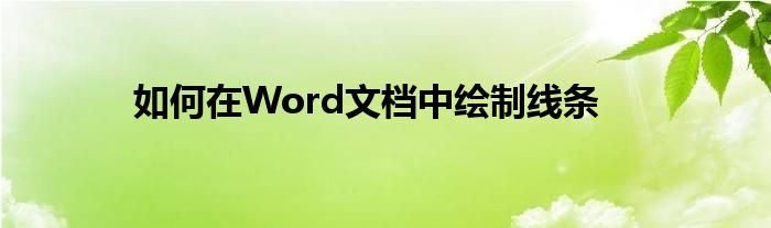 如何在Word文档中绘制线条