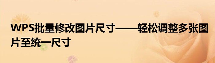 WPS批量修改图片尺寸——轻松调整多张图片至统一尺寸