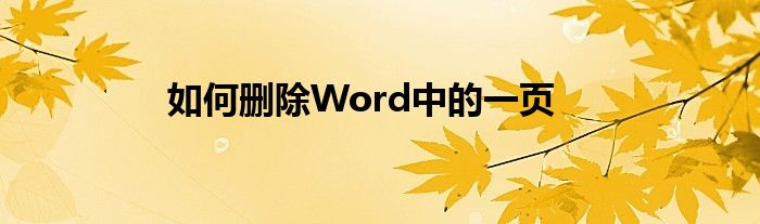 如何删除Word中的一页