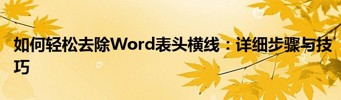 如何轻松去除Word表头横线：详细步骤与技巧