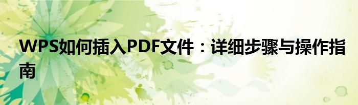 WPS如何插入PDF文件：详细步骤与操作指南