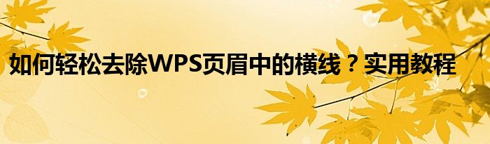 如何轻松去除WPS页眉中的横线？实用教程