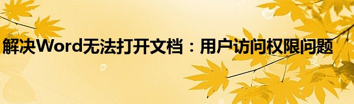解决Word无法打开文档：用户访问权限问题