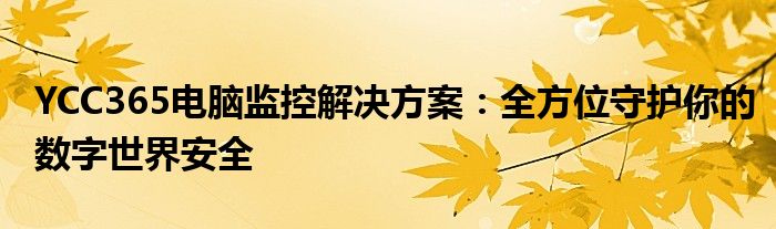 YCC365电脑监控解决方案：全方位守护你的数字世界安全