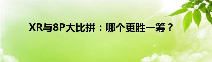 XR与8P大比拼：哪个更胜一筹？