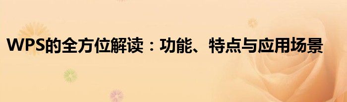 WPS的全方位解读：功能、特点与应用场景