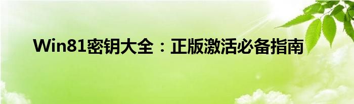 Win81密钥大全：正版激活必备指南