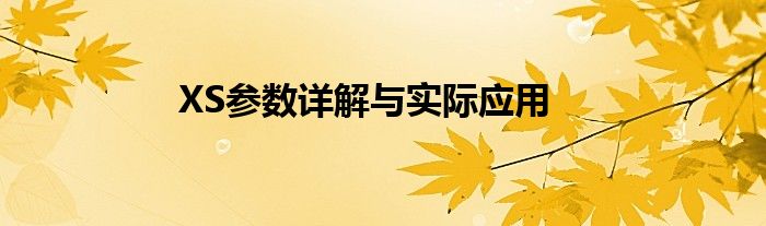XS参数详解与实际应用
