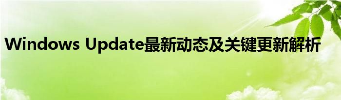 Windows Update最新动态及关键更新解析