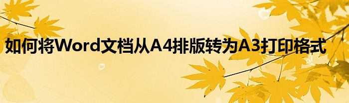 如何将Word文档从A4排版转为A3打印格式
