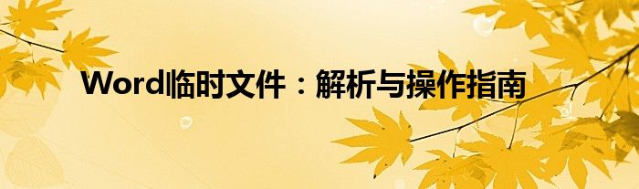 Word临时文件：解析与操作指南