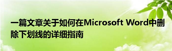 一篇文章关于如何在Microsoft Word中删除下划线的详细指南