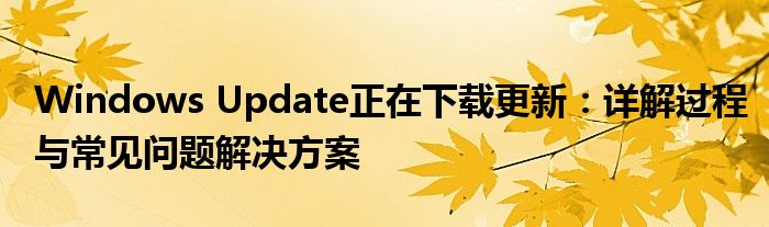 Windows Update正在下载更新：详解过程与常见问题解决方案