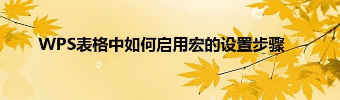 WPS表格中如何启用宏的设置步骤