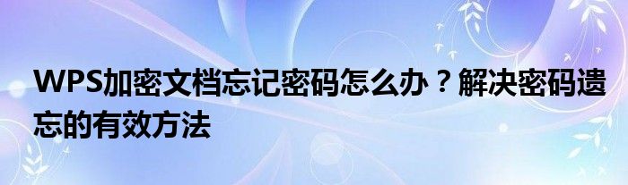 WPS加密文档忘记密码怎么办？解决密码遗忘的有效方法