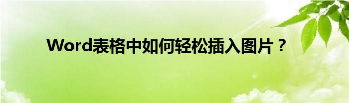 Word表格中如何轻松插入图片？