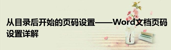 从目录后开始的页码设置——Word文档页码设置详解