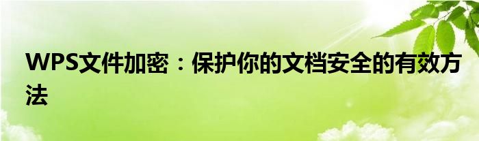 WPS文件加密：保护你的文档安全的有效方法