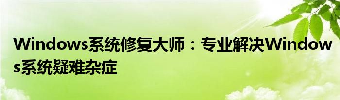 Windows系统修复大师：专业解决Windows系统疑难杂症