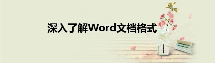 深入了解Word文档格式