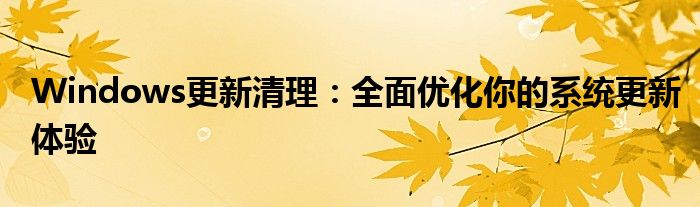Windows更新清理：全面优化你的系统更新体验