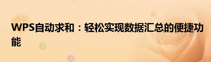 WPS自动求和：轻松实现数据汇总的便捷功能