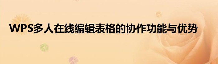 WPS多人在线编辑表格的协作功能与优势