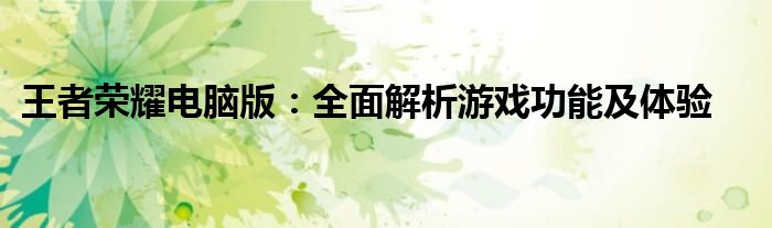 王者荣耀电脑版：全面解析游戏功能及体验