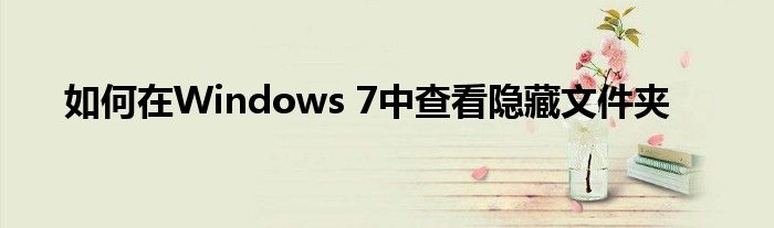 如何在Windows 7中查看隐藏文件夹