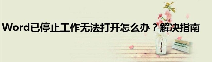 Word已停止工作无法打开怎么办？解决指南