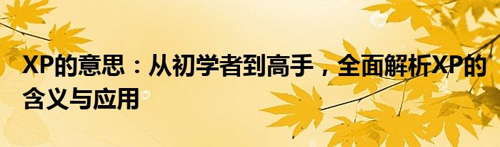 XP的意思：从初学者到高手，全面解析XP的含义与应用