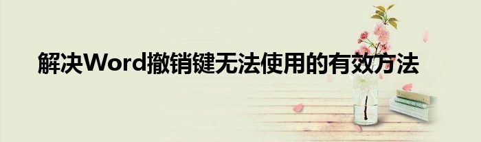 解决Word撤销键无法使用的有效方法