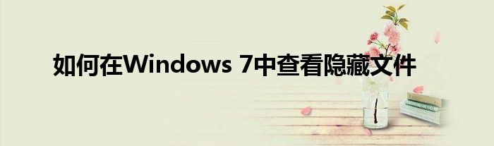 如何在Windows 7中查看隐藏文件